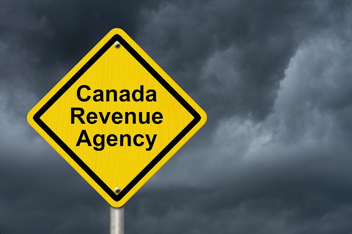 How Do CGAs Help Businesses Prepare for a CRA Audit